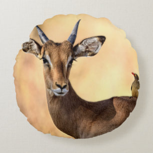 Impala and Oxpecker Bird in Africa Round Cushion