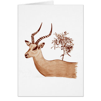 Impala Antelope Animal Wildlife Drawing Sketch