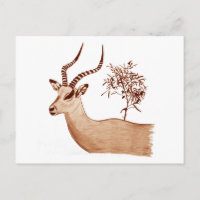 Impala Antelope Animal Wildlife Drawing Sketch
