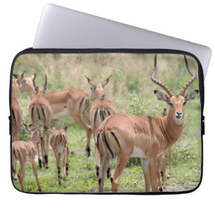 Impala In The Okavango Delta Laptop Sleeve