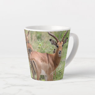 Impala In The Okavango Delta Latte Mug
