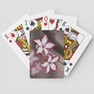 Impala Lily Adenium Miltiflorum Flower Playing Cards