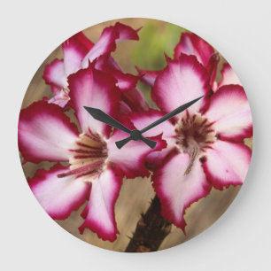 Impala Lily (Adenium Multiflorum), Kruger Large Clock