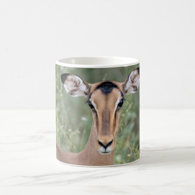 Impala Portrait Coffee Mug (Center)