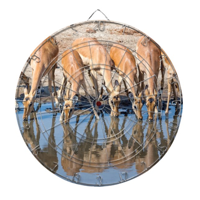 Impalas at the waterhole dartboard (Front)