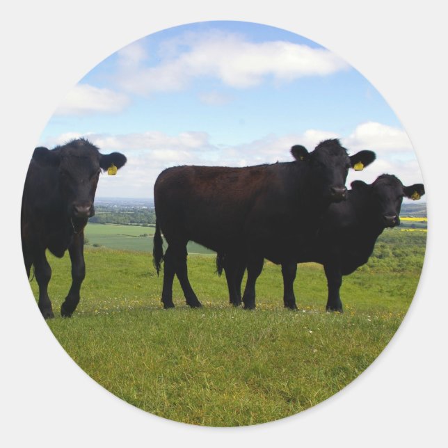 Impatience Classic Round Sticker (Front)