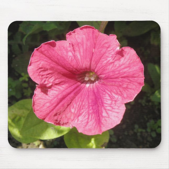 Impatiens Dark Pink Mousepad (Front)