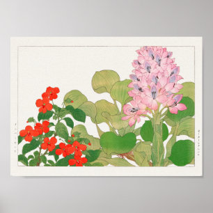 Impatiens, Water hyacinth by Tanigami Konan Poster