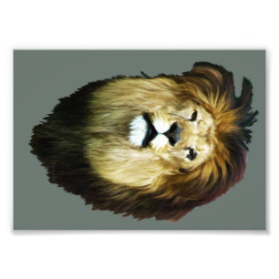 Imperfect King Photo Print