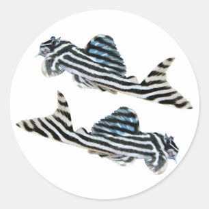 “Imperial Zebra Pleco”の優良製品 Classic Round Sticker