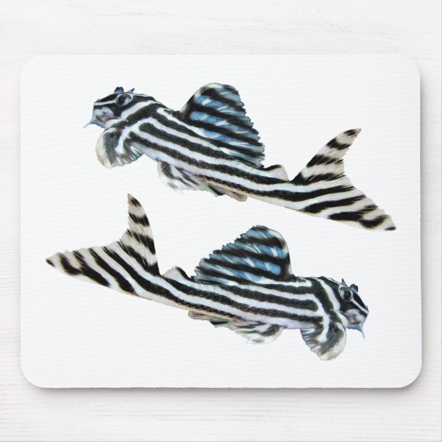 “Imperial Zebra Pleco”の優良製品 Mouse Pad (Front)