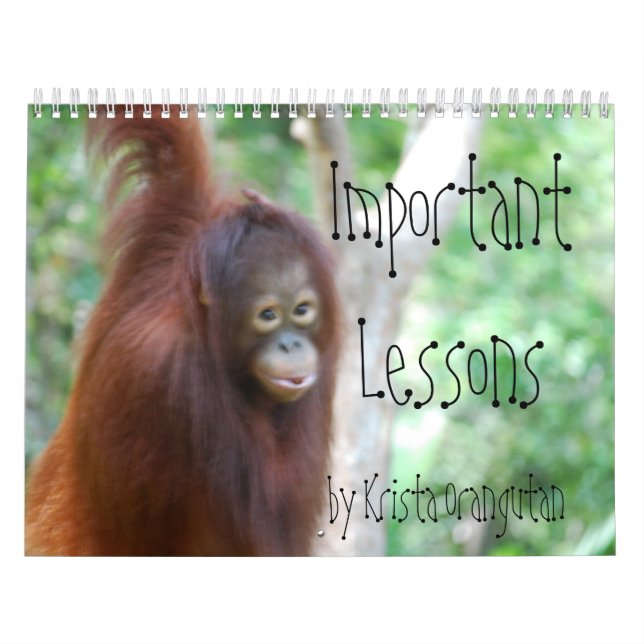 Important Lessons for Children by Krista Orangutan Calendar (Cover)