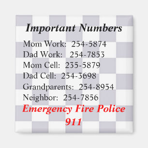 Important Numbers Magnet