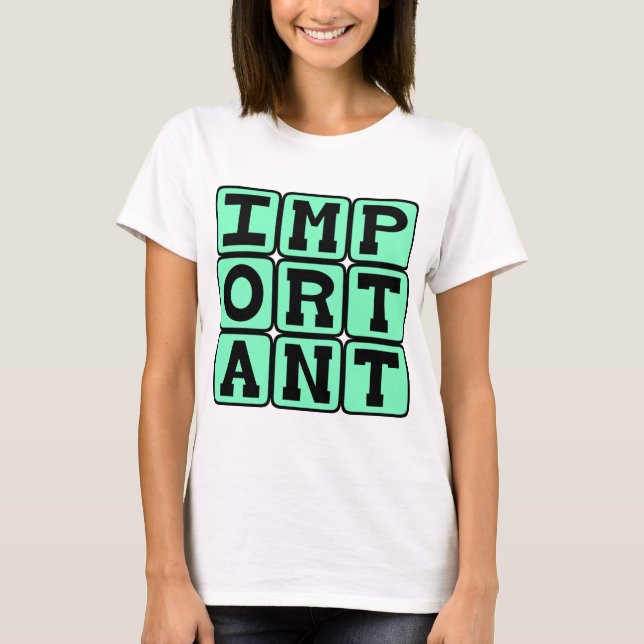 Important, Special Person T-Shirt (Front)