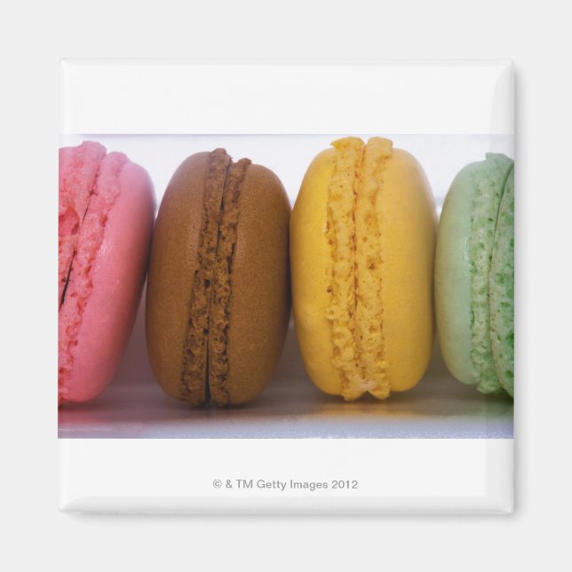 Imported gourmet French macarons (macaroons) Magnet (Front)