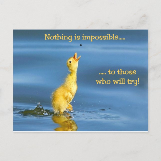 Impossible Duck Postcard (Front)