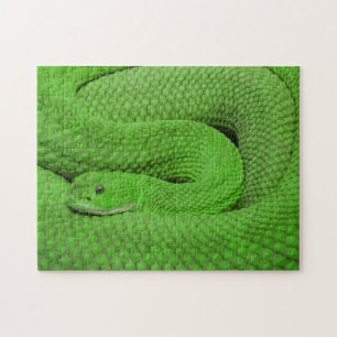 Impossible Puzzle - Green Snake
