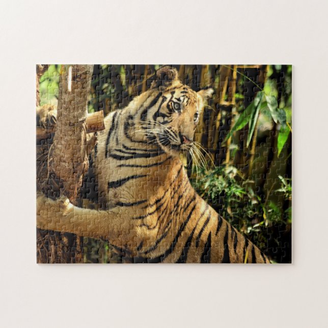 Impossible Puzzle - Jungle Tiger (Horizontal)