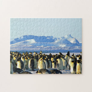 Impossible Puzzle - Penguins Colony