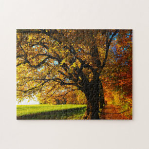 Impossible Puzzle - Sunny Autumn