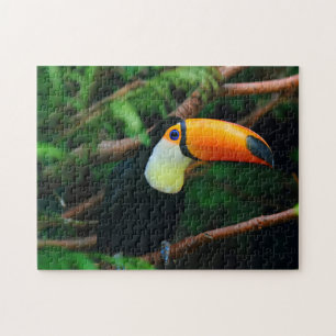 Impossible Puzzle - Toucan