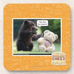 Imposter! Coaster
