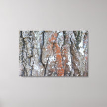 Impressão em Tela NATUREZA BRASIL