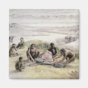 Impression of a camp occupied by Homo habilis Magnet