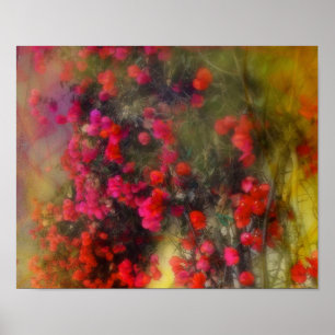 Impressionism Red Bougainvillea Poster