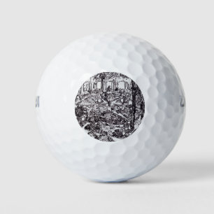Impressionism Vincent Van Gogh Garten des Hospital Golf Balls