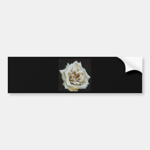 Impressionist Rose Isolated On Black Bumper Sticker