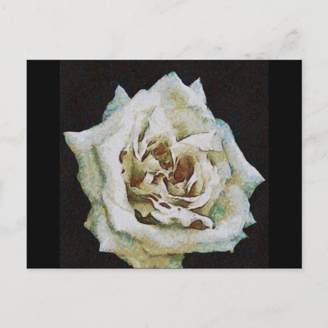 Impressionist Rose Isolated On Black Postcard (Front)