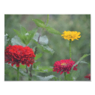 Impressionistic Zinnias Photo Print