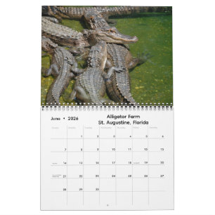 Impressions of Florida 2026 Calendar