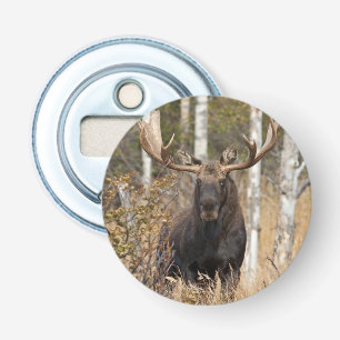 Impressive Bull Moose Bottle Opener