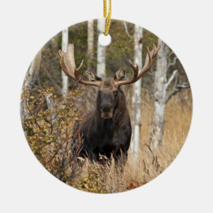 Impressive Bull Moose Ceramic Tree Decoration