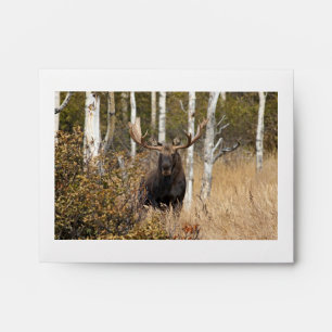 Impressive Bull Moose Envelope
