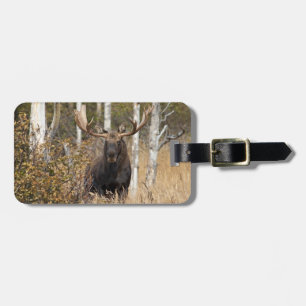 Impressive Bull Moose Luggage Tag