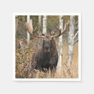 Impressive Bull Moose Napkin