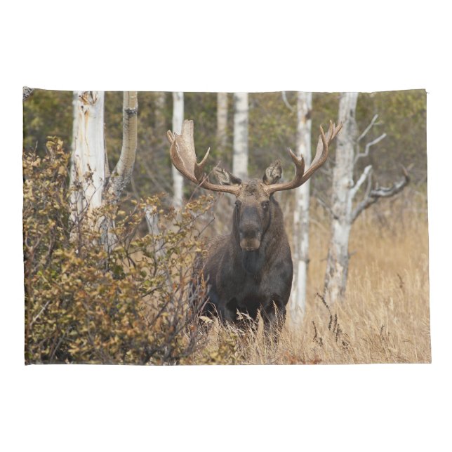 Impressive Bull Moose Pillowcase (Back-Right)