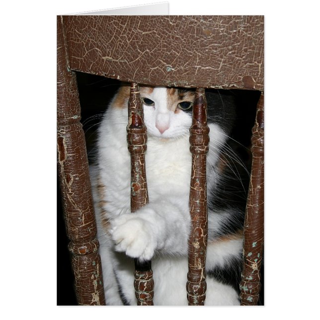 Imprisoned (Front)
