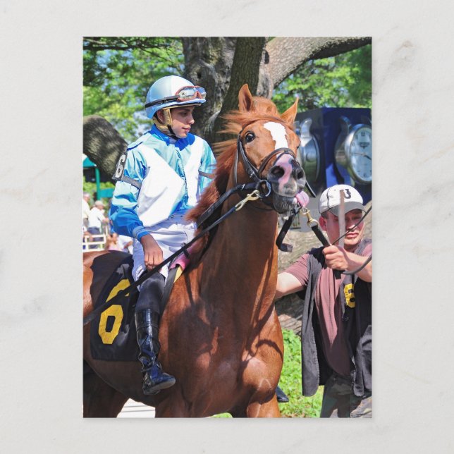 Imvros Pride making his first start Postcard (Front)