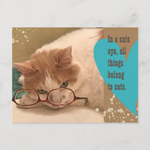 In a cats eye Funny Cat Postcard