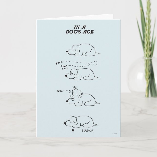 In a Dog's Age Card (Front)