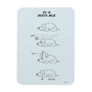 In a Dog's Age Magnet