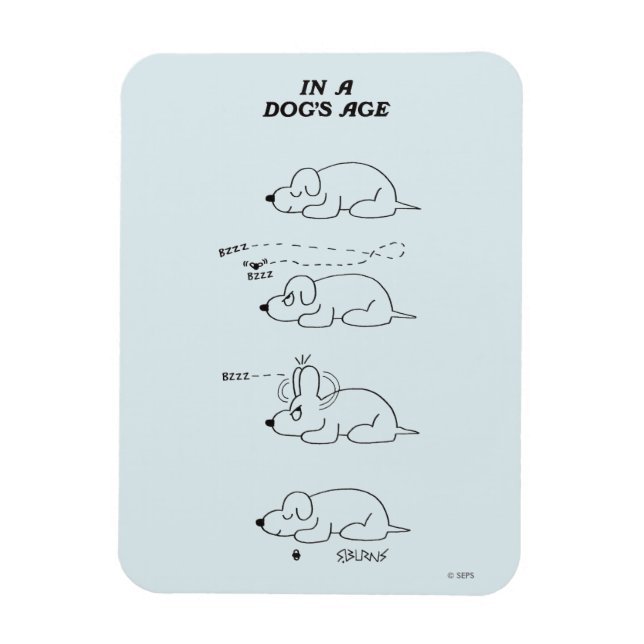 In a Dog's Age Magnet (Vertical)