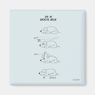 In a Dog's Age Magnet