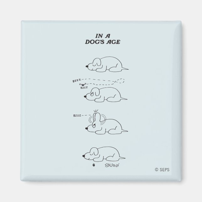 In a Dog's Age Magnet (Front)