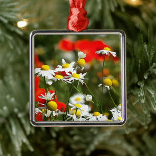 In A Field of Poppies Be A Daisy Metal Ornament