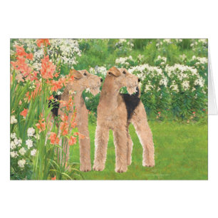 In a Flower Garden